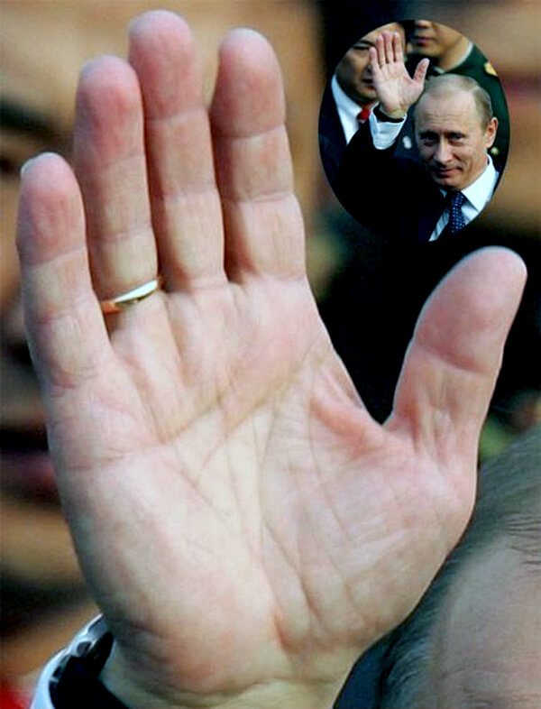 Putin's Palm